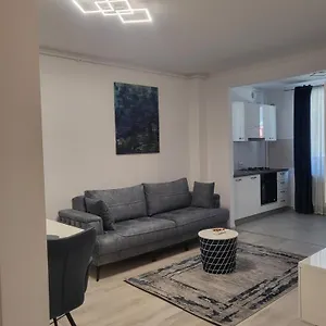 Hils Pallady Lyly Bucureşti